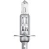 o1_2 Halogeen OSRAM P14,5s 12V 55W H1