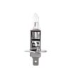 z901_02 M-TECH halogeenpirn H1 24V/70W