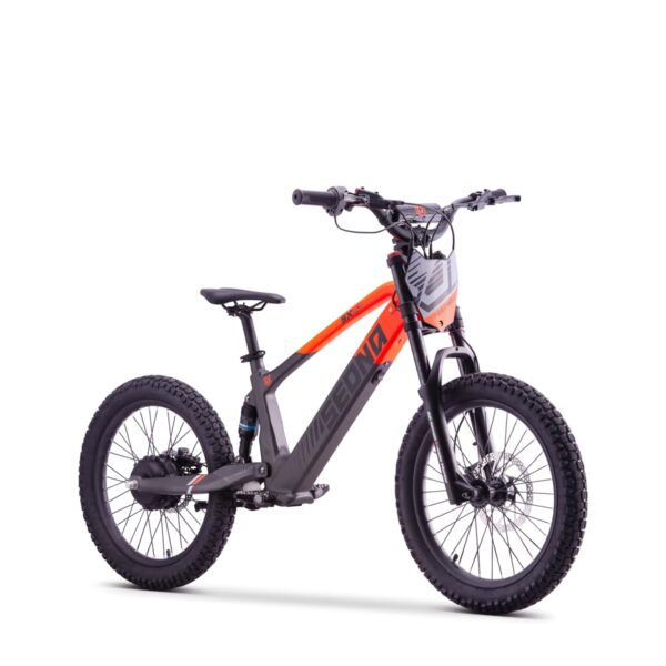 ELEKTRILINE TASAKAALURATAS SEDNA SX20″ ORANZ ELEKTRILINE TASAKAALURATAS SEDNA SX20″ ORANZ