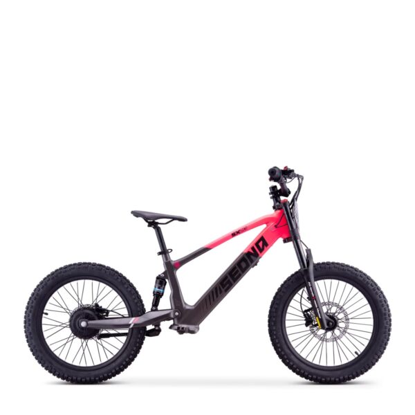 94503ad3-d562-4b73-8203-5ee43c899ac7 ELEKTRILINE TASAKAALURATAS SEDNA SX20″ ROOSA