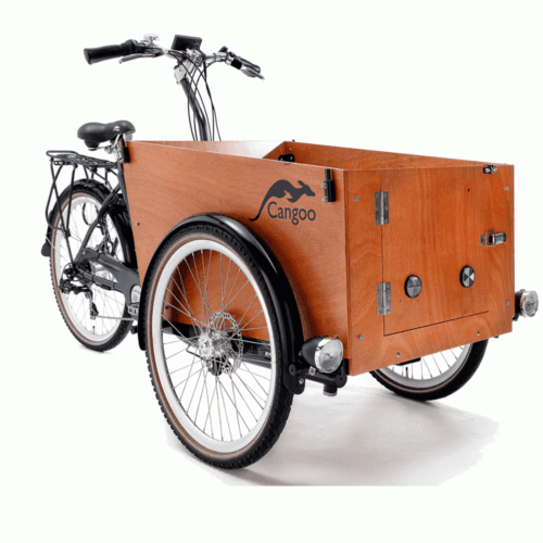 Elektriline kastiratas Cangoo Easy, roheline Elektriline kastiratas Cangoo Easy, roheline