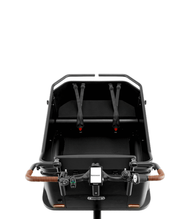 Elektriline kastiratas Keewee Bike, roheline2 Elektriline kastiratas Keewee Bike, roheline