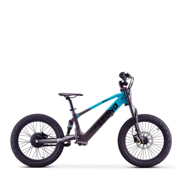 e18dfa8c-142d-43d1-9931-4141fead32d1 ELEKTRILINE TASAKAALURATAS SEDNA SX20″ SININE